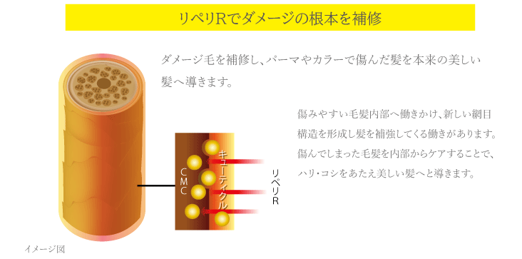 リペリＲでダメージの根本を補修